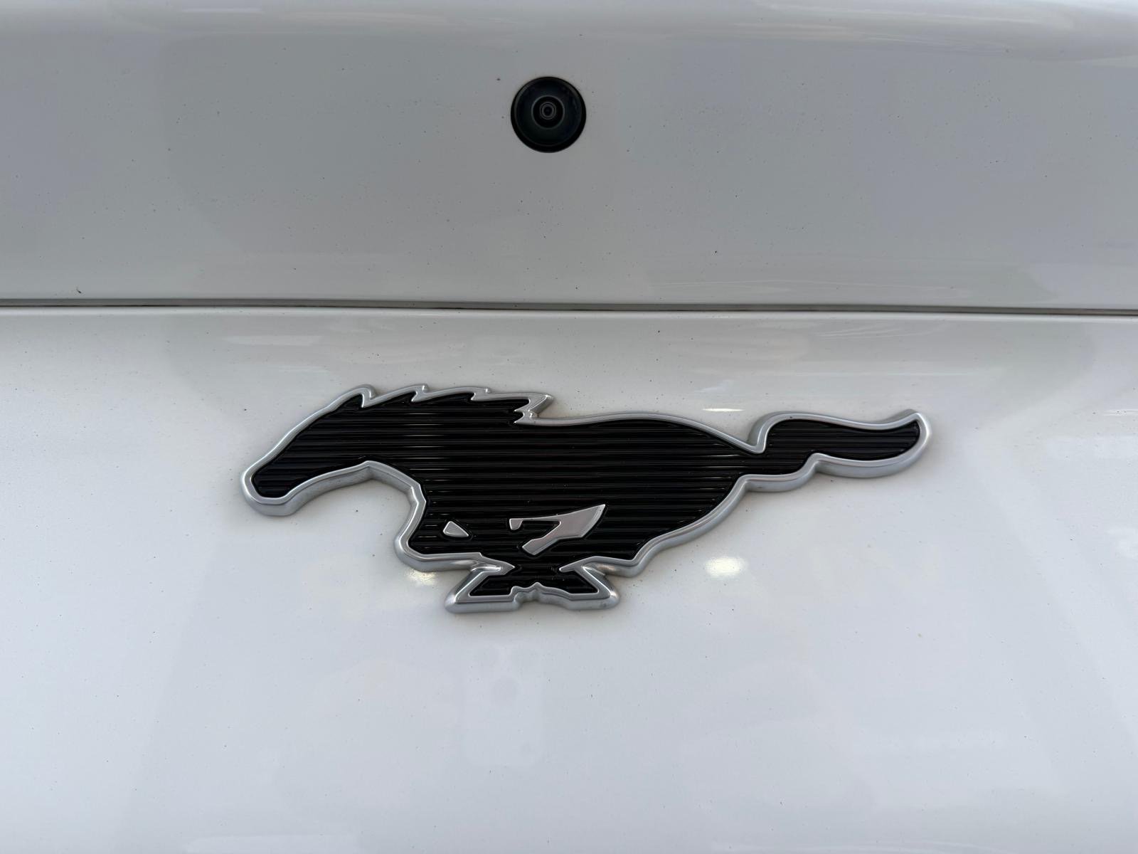 Ford Mustang Mach-E Standard - imagem 15