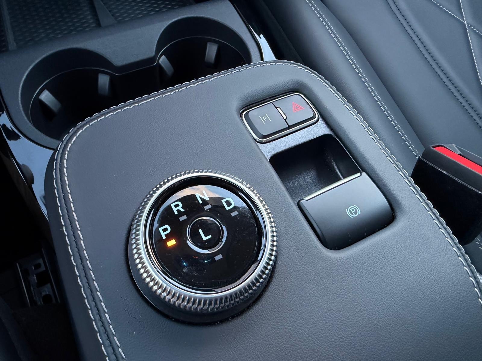 Ford Mustang Mach-E Standard - imagem 19